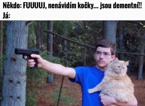  Kočka 