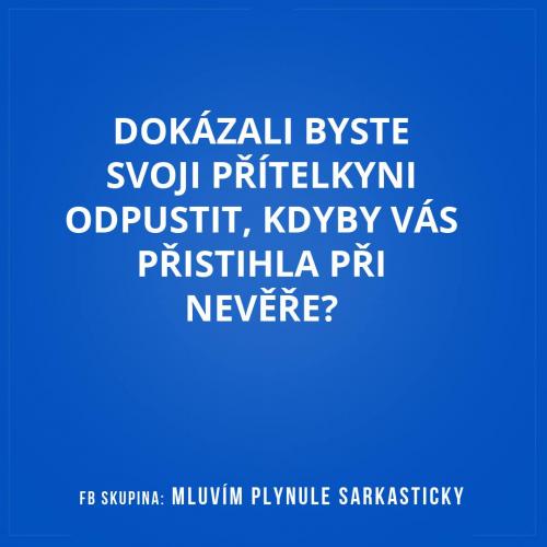  Přítelkyně 