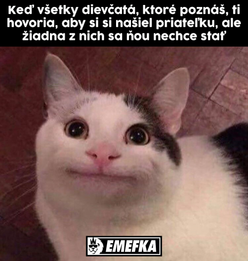  Přítelkyně 