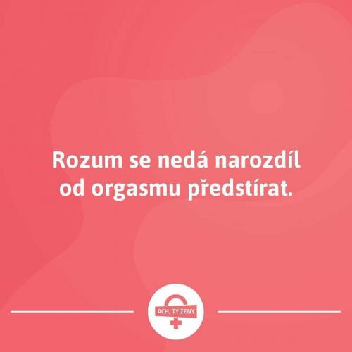  Rozum 