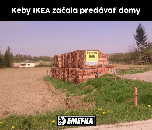  Dům 