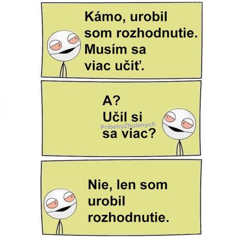  Rozhodnutí 