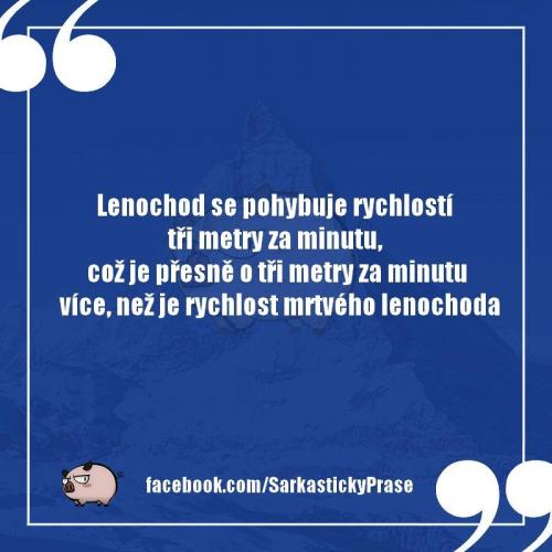  Lenochod 