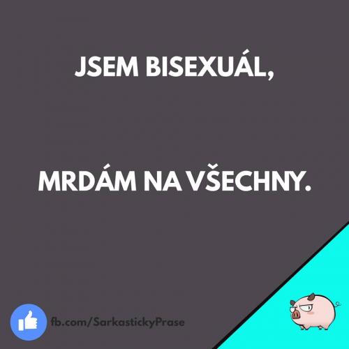  Bisexuál 