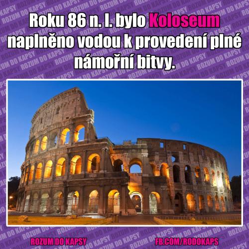  Koloseum 