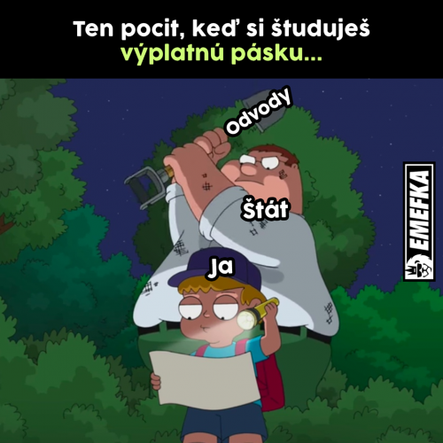  Výplatní páska 