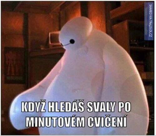  Svaly 