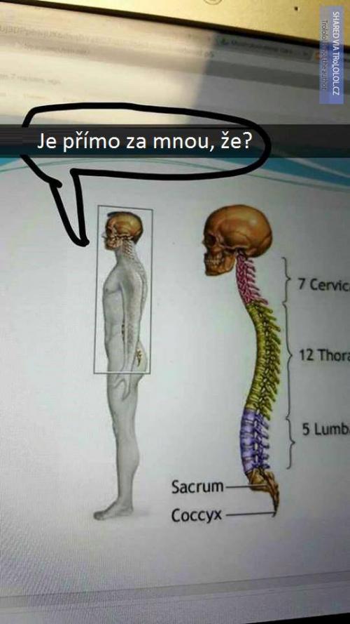 Jo je