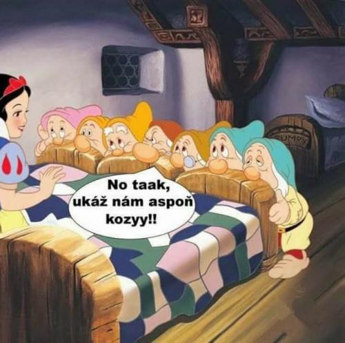 Kozyy