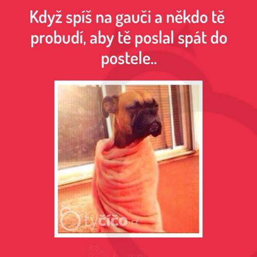  Spánek 