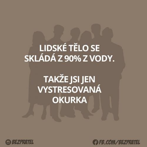  Tělo 