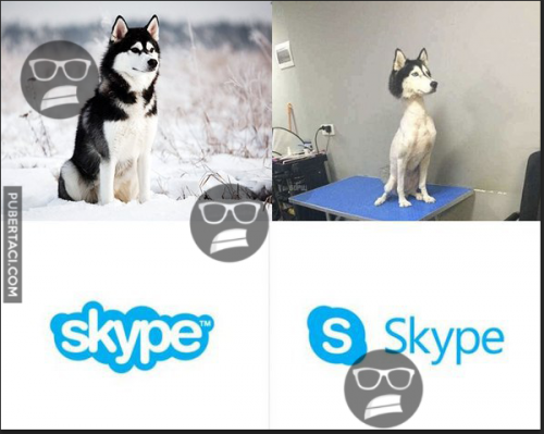  Skype 