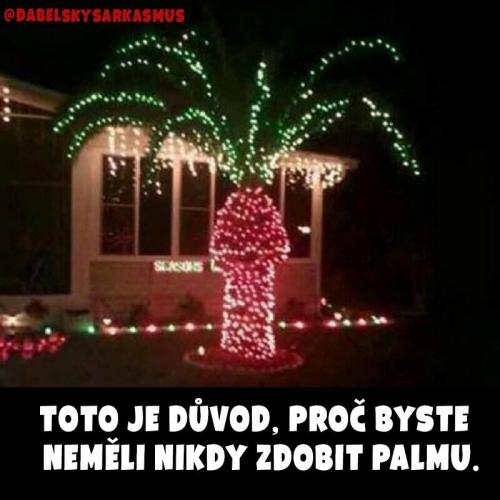 Důvod