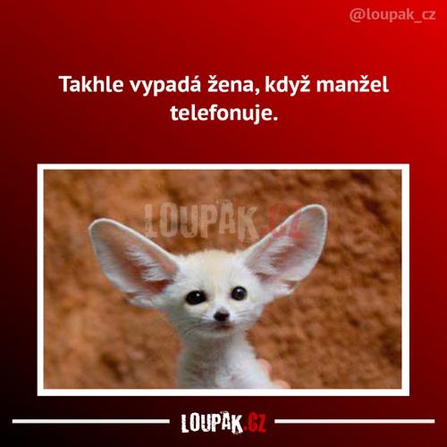  Přesně takhle vypadá 