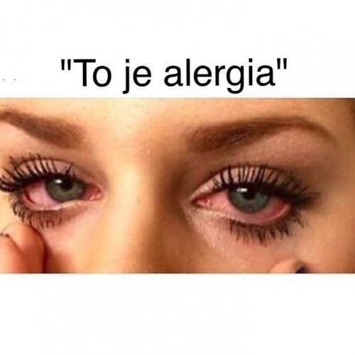  Alergie 