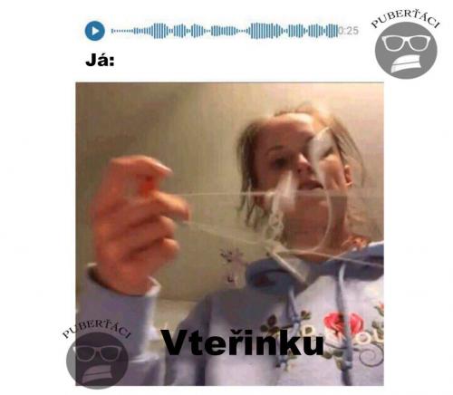 Vteřinku