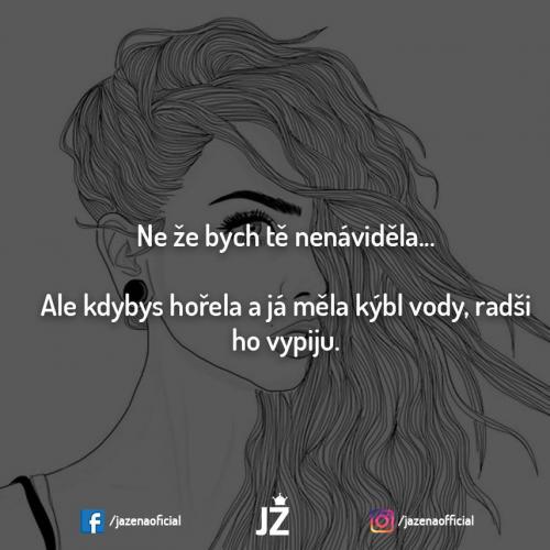 Nenáviděla