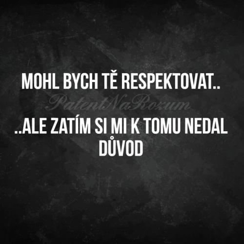 Respektovat