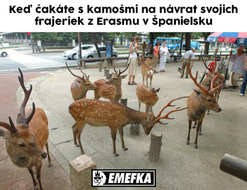  Návrat 