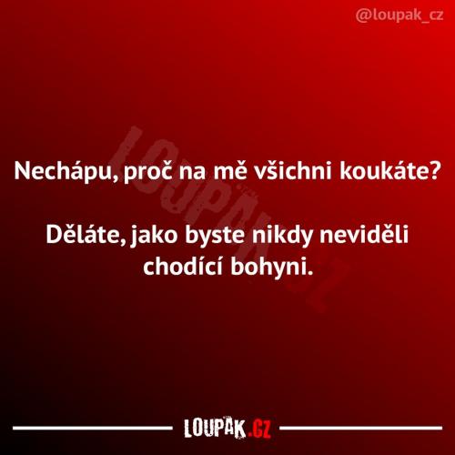 Tohle asi nikdo dlouho neviděl