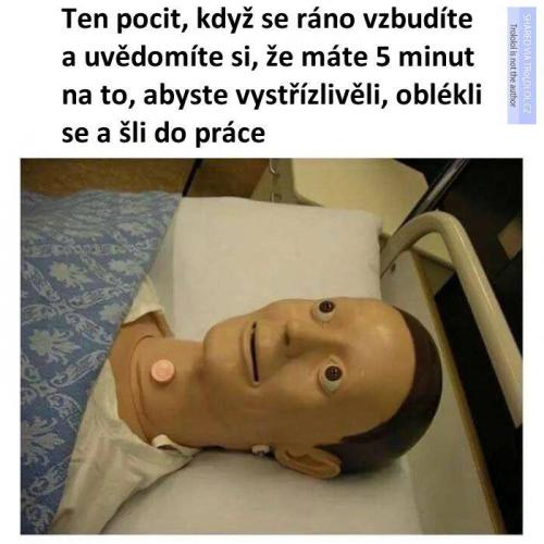  Šli do práce 