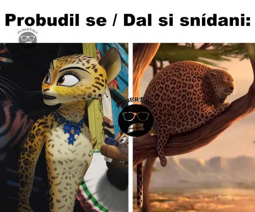  Snídaně 