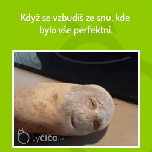  Všechno tam bylo perfektní 