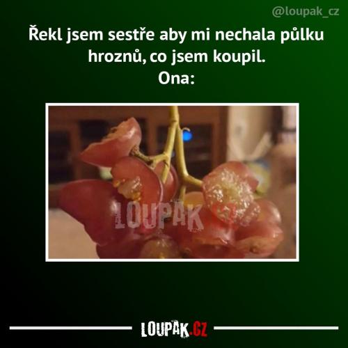  Držela se prostě jen pokynů 