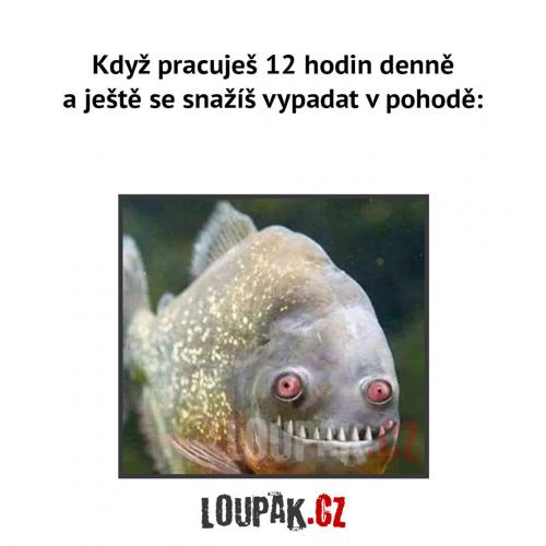 V pohodě