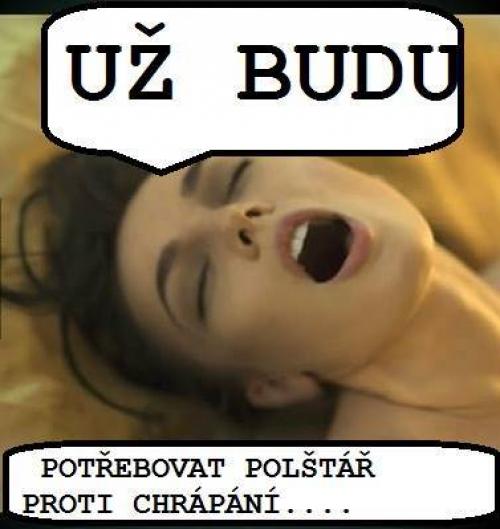  Potřeba 