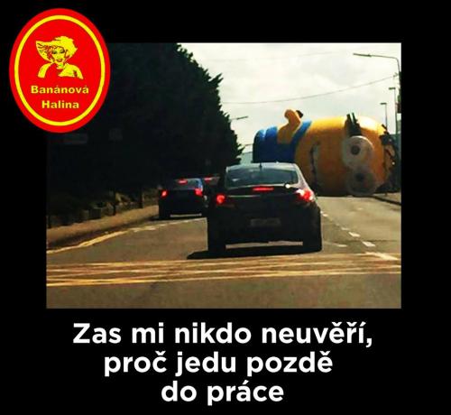 zase