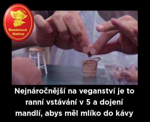Veganství