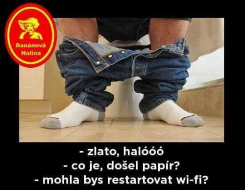 Haloooo