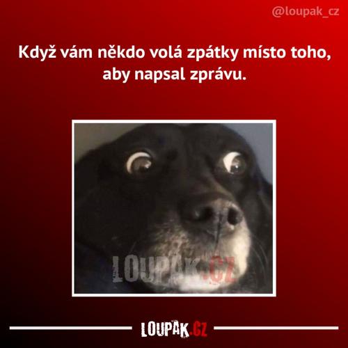  Zpráva 