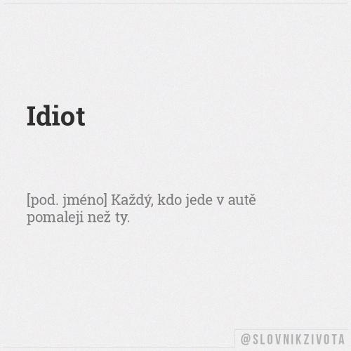  Idiot 