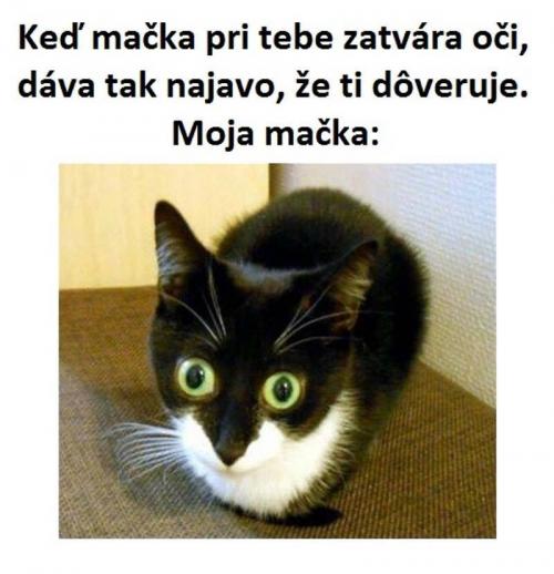  Oči 