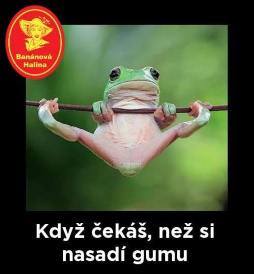 Gu,a