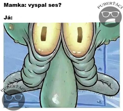  Vyspal ses 