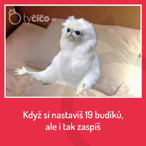 19 budíků