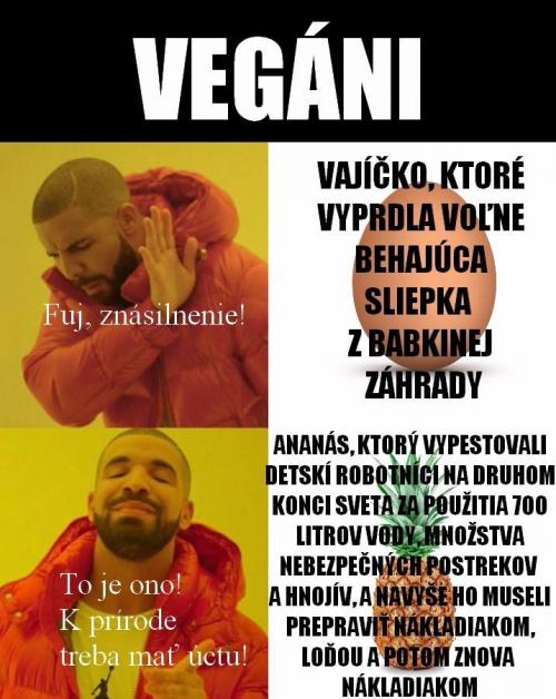  Vegan 