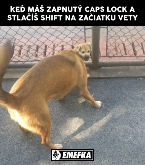  Věta 