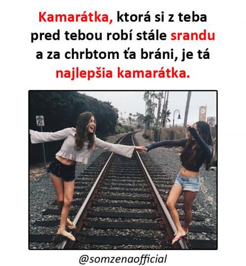  Nejlepší kámoška 