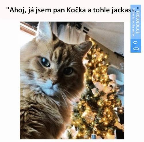  Kočka 