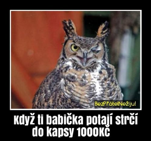  Babička 