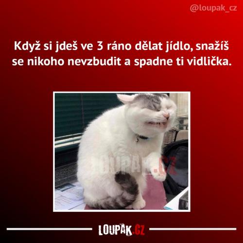 To se asi nemělo stát