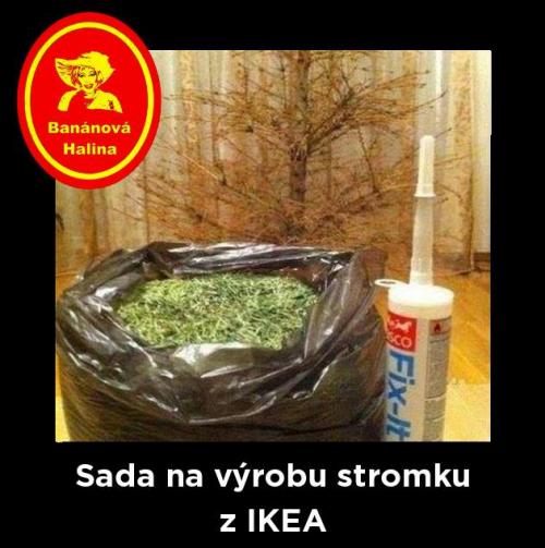  IKEA 
