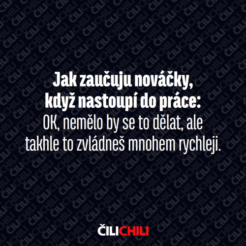 Nováčci