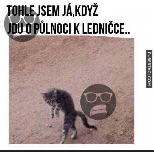 půlnmoc