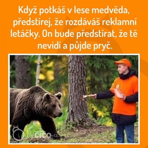  Medvěd 