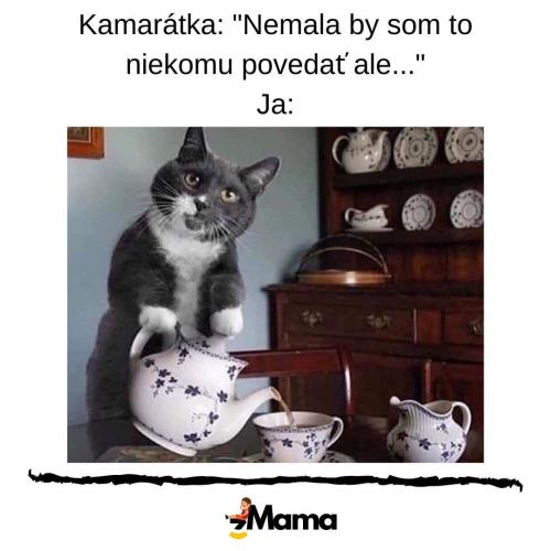  Kamarádka 